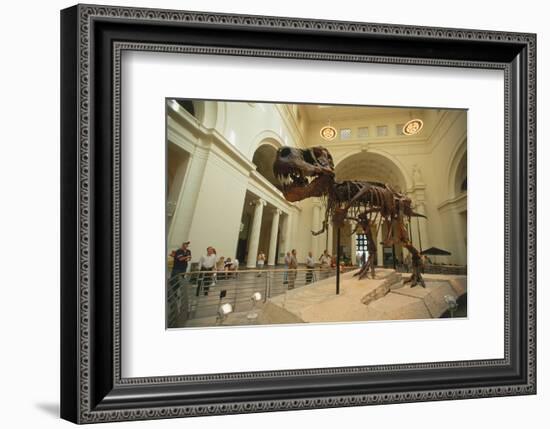 Tyrannosaurus Rex (Sue), Field Museum in Chicago, Illinois, USA-null-Framed Art Print