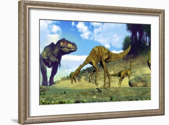 Tyrannosaurus Rex Surprising a Herd of Gallimimus Dinosaurs-Stocktrek Images-Framed Art Print