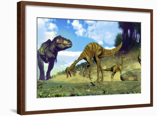 Tyrannosaurus Rex Surprising a Herd of Gallimimus Dinosaurs-Stocktrek Images-Framed Art Print