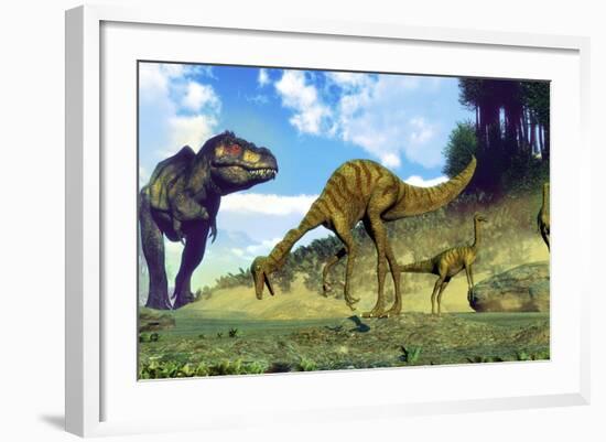 Tyrannosaurus Rex Surprising a Herd of Gallimimus Dinosaurs-Stocktrek Images-Framed Art Print