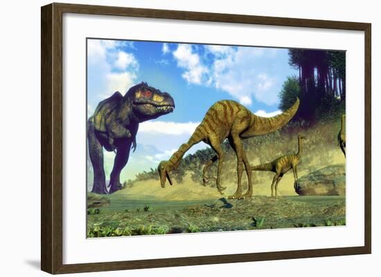 Tyrannosaurus Rex Surprising a Herd of Gallimimus Dinosaurs-Stocktrek Images-Framed Art Print