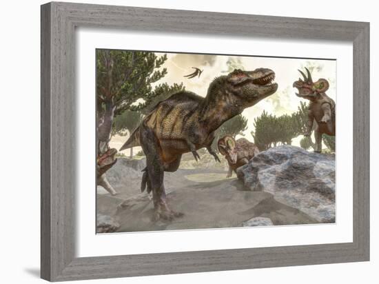 Tyrannosaurus Rex Tries to Escape from a Group of Triceratops-Stocktrek Images-Framed Art Print