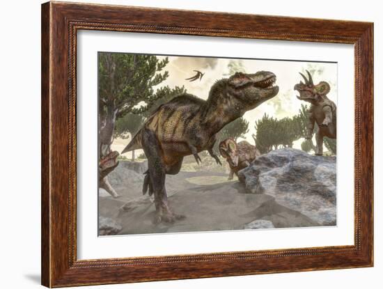 Tyrannosaurus Rex Tries to Escape from a Group of Triceratops-Stocktrek Images-Framed Art Print