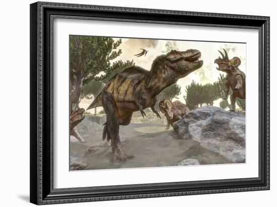 Tyrannosaurus Rex Tries to Escape from a Group of Triceratops-Stocktrek Images-Framed Art Print