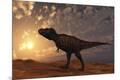 Premium Giclee Print