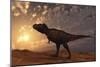 Tyrannosaurus Rex Walking across a Desert at Sunset-null-Mounted Art Print