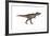 Tyrannosaurus Rex, White Background-null-Framed Art Print