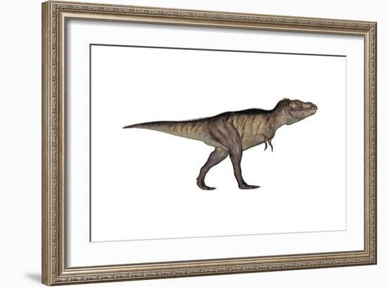 Tyrannosaurus Rex, White Background-null-Framed Art Print