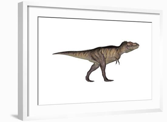 Tyrannosaurus Rex, White Background-null-Framed Art Print