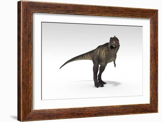 Tyrannosaurus Rex, White Background-null-Framed Art Print