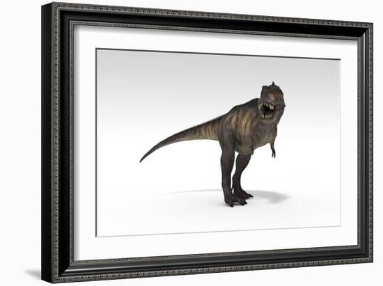 Tyrannosaurus Rex, White Background-null-Framed Art Print