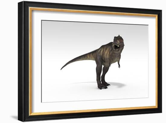 Tyrannosaurus Rex, White Background-null-Framed Art Print
