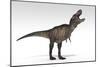 Tyrannosaurus Rex, White Background-null-Mounted Art Print