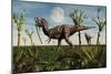 Tyrannosaurus Rex with a Freshly Killed Young Sauropod Dinosaur-null-Mounted Art Print