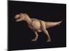 Tyrannosaurus Rex-Joe Tucciarone-Mounted Photographic Print