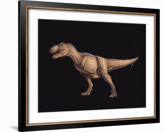 Tyrannosaurus Rex-Joe Tucciarone-Framed Photographic Print