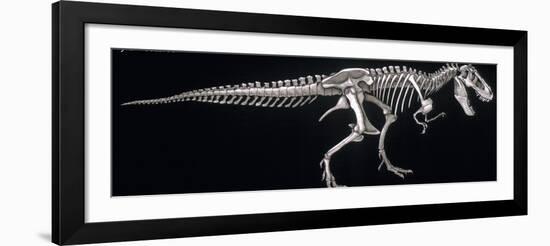 Tyrannosaurus Skeleton, Dinosaurs-Encyclopaedia Britannica-Framed Art Print