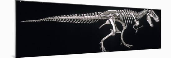 Tyrannosaurus Skeleton, Dinosaurs-Encyclopaedia Britannica-Mounted Art Print