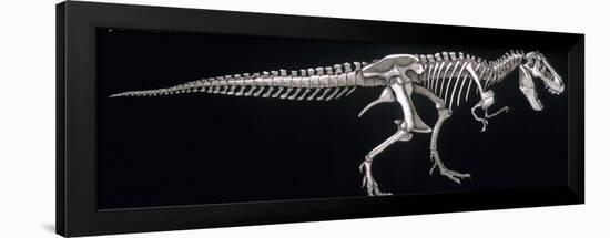 Tyrannosaurus Skeleton, Dinosaurs-Encyclopaedia Britannica-Framed Art Print