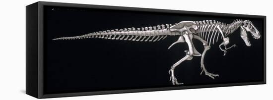 Tyrannosaurus Skeleton, Dinosaurs-Encyclopaedia Britannica-Framed Stretched Canvas