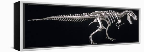 Tyrannosaurus Skeleton, Dinosaurs-Encyclopaedia Britannica-Framed Stretched Canvas