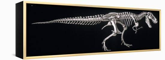 Tyrannosaurus Skeleton, Dinosaurs-Encyclopaedia Britannica-Framed Stretched Canvas