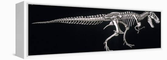 Tyrannosaurus Skeleton, Dinosaurs-Encyclopaedia Britannica-Framed Stretched Canvas