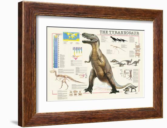 Tyrannosaurus-Libero Patrignani-Framed Art Print