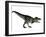 Tyranosaurus Rex, a Large Carnivore of the Cretaceous Period-null-Framed Art Print