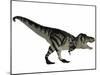 Tyranosaurus Rex, a Large Carnivore of the Cretaceous Period-null-Mounted Art Print