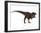 Tyranosaurus Rex, a Large Carnivore of the Cretaceous Period-null-Framed Art Print