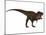 Tyranosaurus Rex, a Large Carnivore of the Cretaceous Period-null-Mounted Art Print