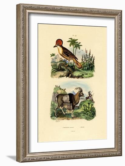 Tyrant, 1833-39-null-Framed Giclee Print