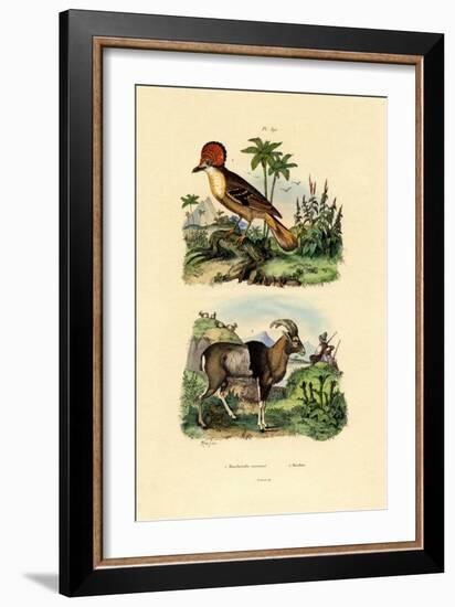 Tyrant, 1833-39-null-Framed Giclee Print