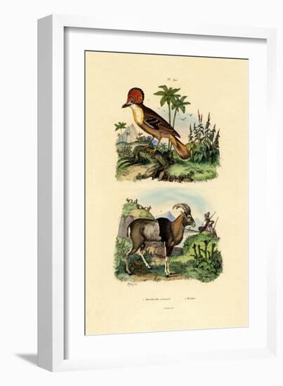 Tyrant, 1833-39-null-Framed Giclee Print