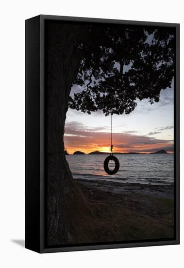 Tyre Swing at Long Bay-Stuart-Framed Premier Image Canvas