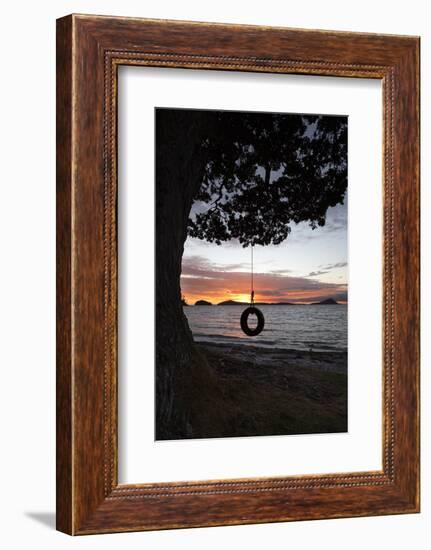 Tyre Swing at Long Bay-Stuart-Framed Photographic Print