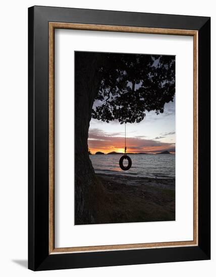Tyre Swing at Long Bay-Stuart-Framed Photographic Print