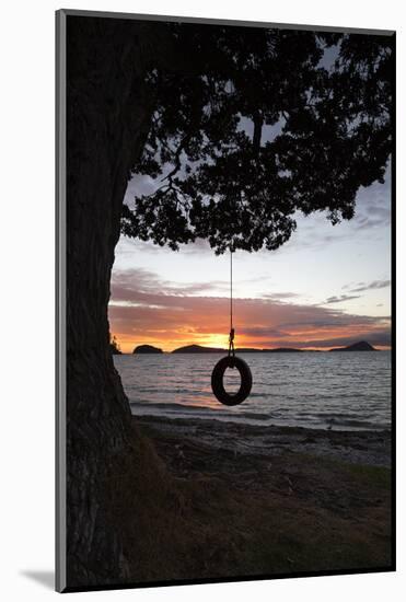 Tyre Swing at Long Bay-Stuart-Mounted Photographic Print