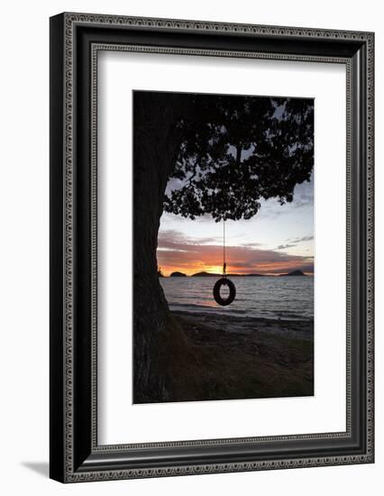 Tyre Swing at Long Bay-Stuart-Framed Photographic Print