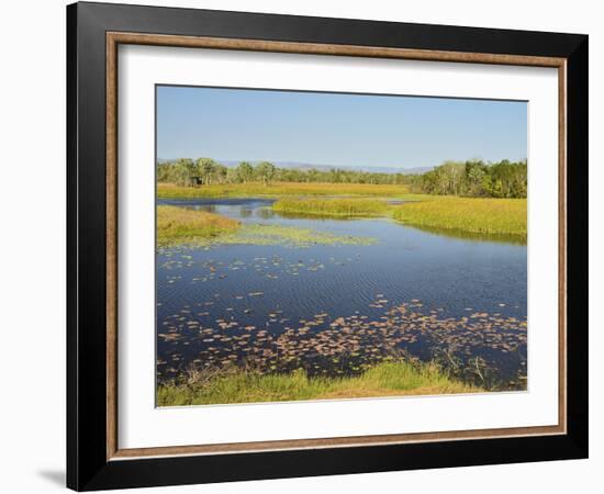 Tyto Wetlands, Ingham, Queensland, Australia, Pacific-Jochen Schlenker-Framed Photographic Print