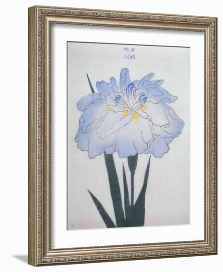 U-Chu Book of a Light Blue Iris-Stapleton Collection-Framed Giclee Print