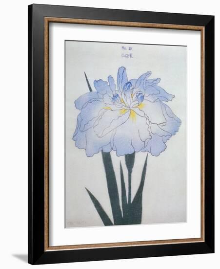 U-Chu Book of a Light Blue Iris-Stapleton Collection-Framed Giclee Print