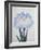 U-Chu Book of a Light Blue Iris-Stapleton Collection-Framed Giclee Print