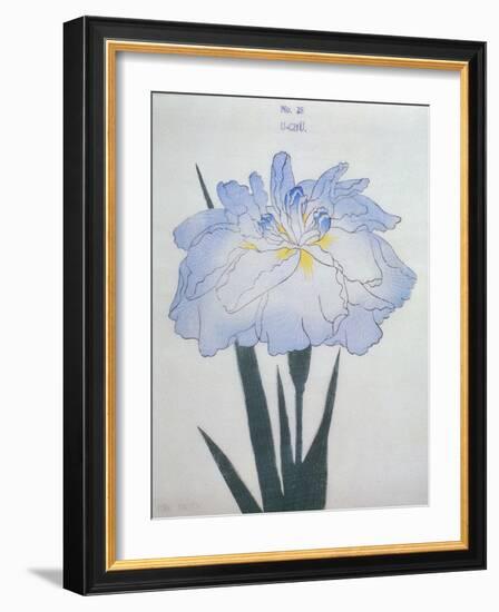 U-Chu Book of a Light Blue Iris-Stapleton Collection-Framed Giclee Print