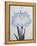 U-Chu Book of a Light Blue Iris-Stapleton Collection-Framed Premier Image Canvas