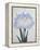 U-Chu Book of a Light Blue Iris-Stapleton Collection-Framed Premier Image Canvas