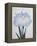 U-Chu Book of a Light Blue Iris-Stapleton Collection-Framed Premier Image Canvas