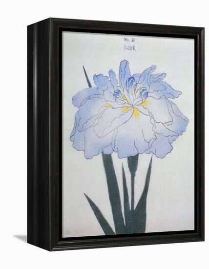 U-Chu Book of a Light Blue Iris-Stapleton Collection-Framed Premier Image Canvas