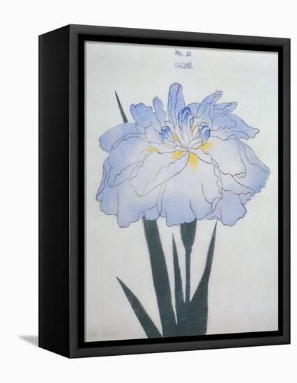 U-Chu Book of a Light Blue Iris-Stapleton Collection-Framed Premier Image Canvas